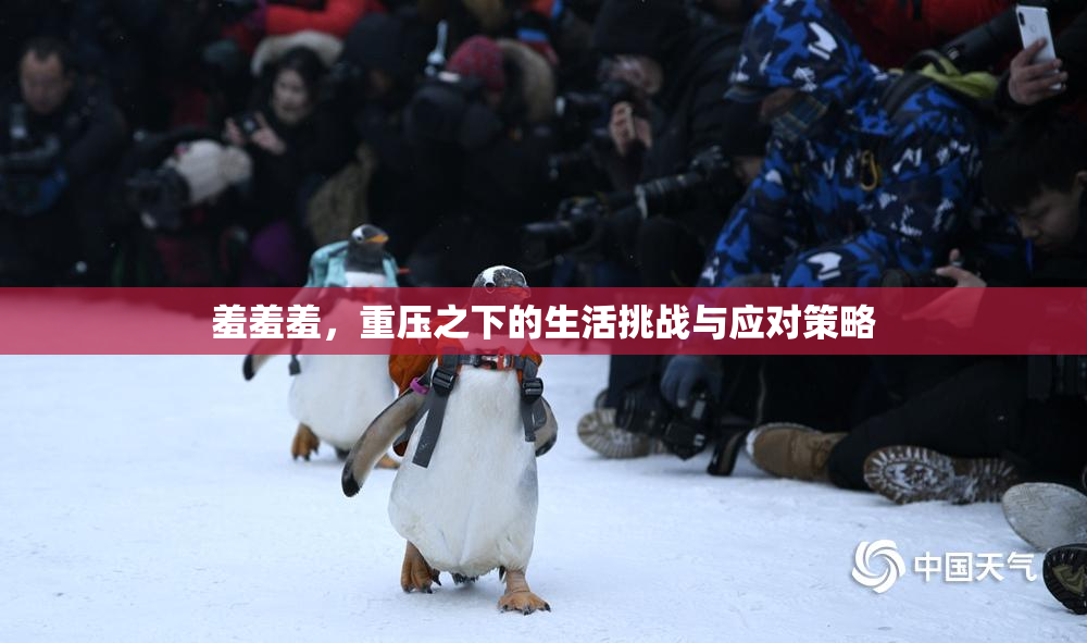 羞羞羞，重压之下的生活挑战与应对策略