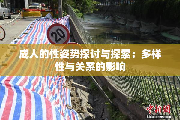 成人的性姿势探讨与探索：多样性与关系的影响