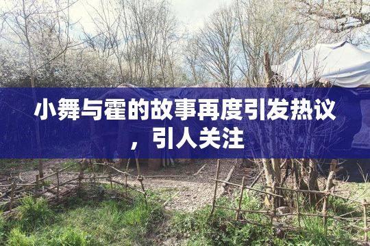 小舞与霍的故事再度引发热议，引人关注