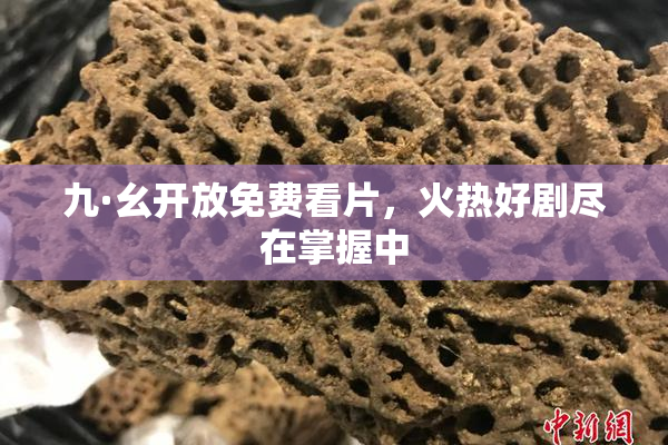 九·幺开放免费看片，火热好剧尽在掌握中