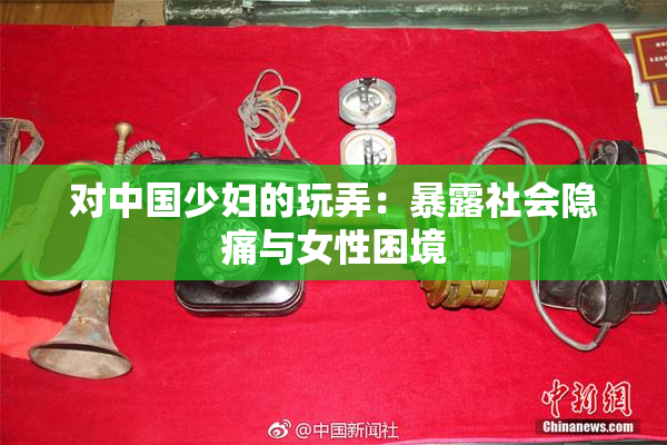 对中国少妇的玩弄：暴露社会隐痛与女性困境