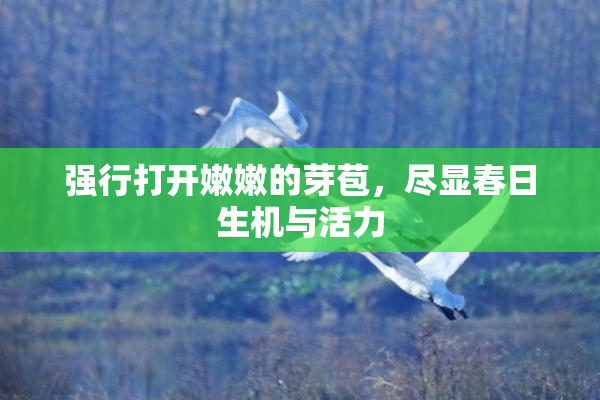 强行打开嫩嫩的芽苞，尽显春日生机与活力