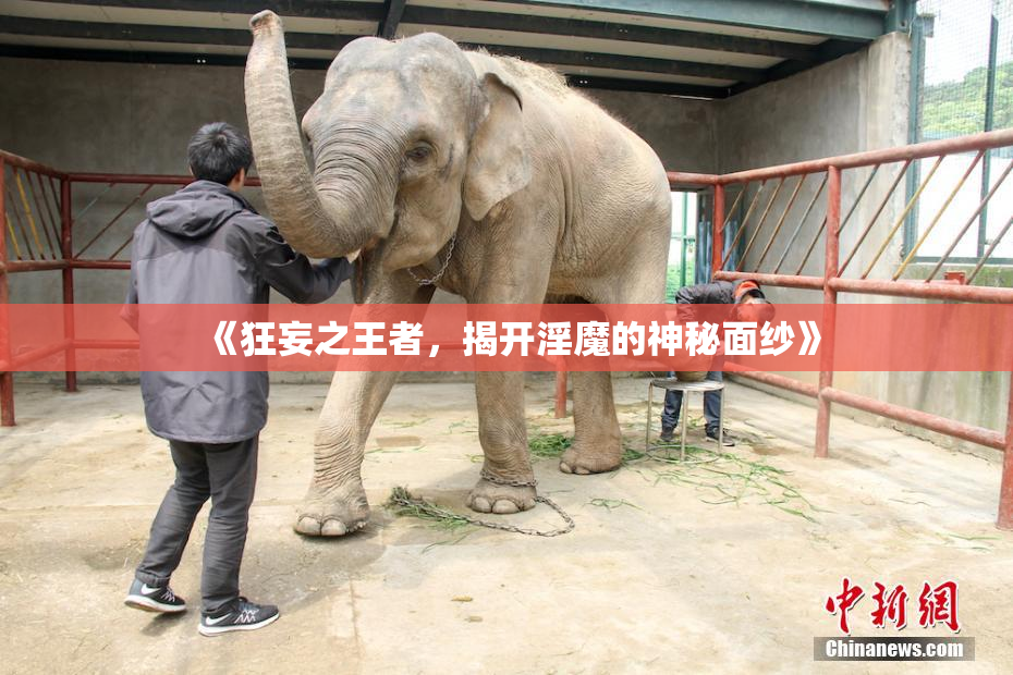 《狂妄之王者，揭开淫魔的神秘面纱》