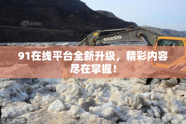 91在线平台全新升级，精彩内容尽在掌握！