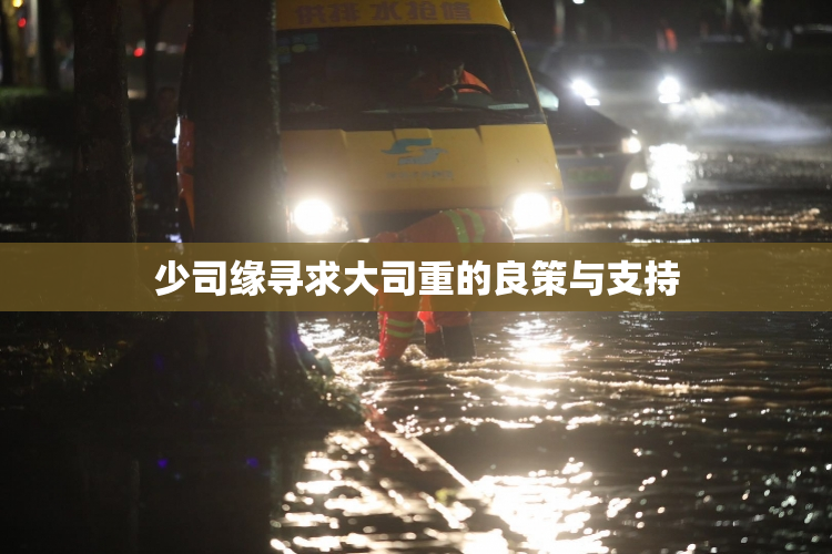 少司缘寻求大司重的良策与支持