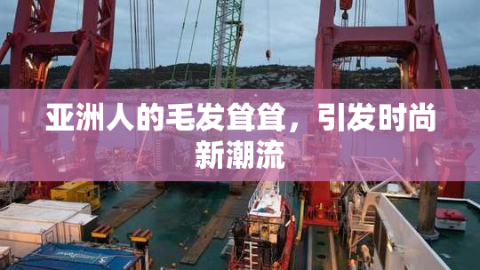亚洲人的毛发耸耸，引发时尚新潮流