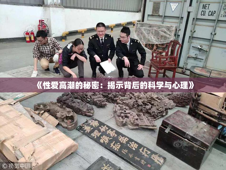 《性爱高潮的秘密：揭示背后的科学与心理》