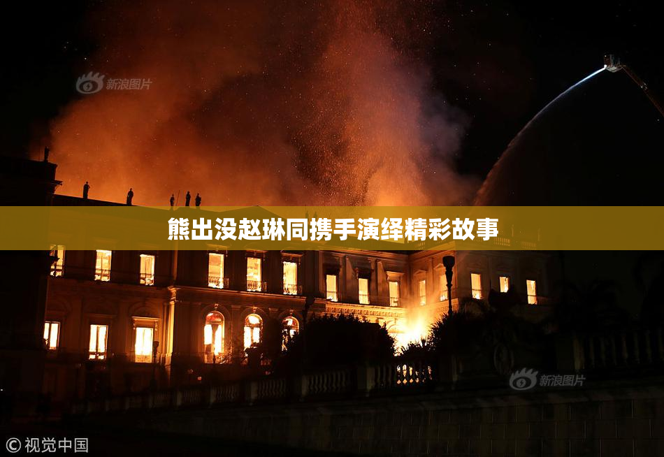 熊出没赵琳同携手演绎精彩故事