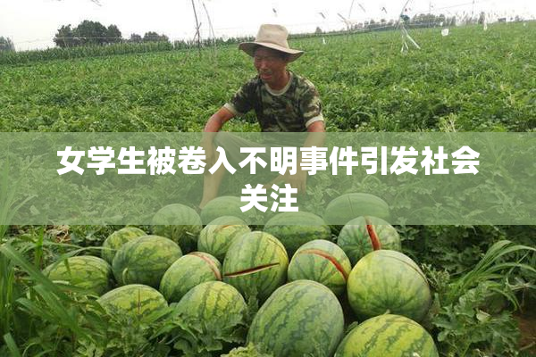 女学生被卷入不明事件引发社会关注