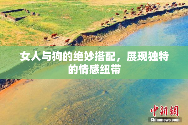 女人与狗的绝妙搭配，展现独特的情感纽带
