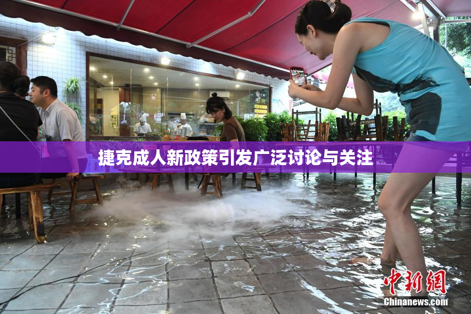 捷克成人新政策引发广泛讨论与关注