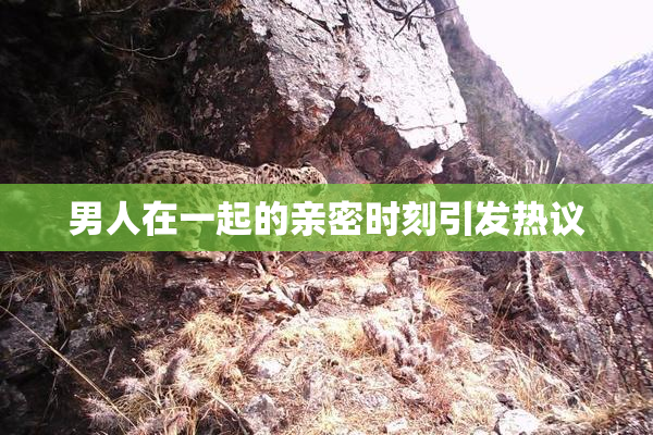 男人在一起的亲密时刻引发热议