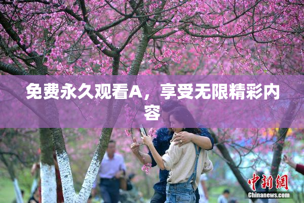 免费永久观看A，享受无限精彩内容
