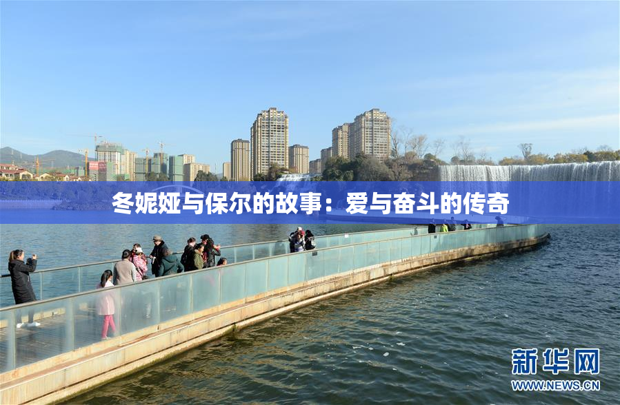 冬妮娅与保尔的故事：爱与奋斗的传奇