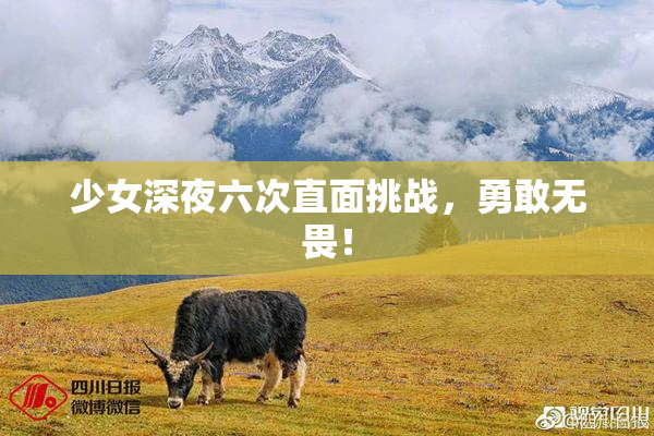少女深夜六次直面挑战，勇敢无畏！