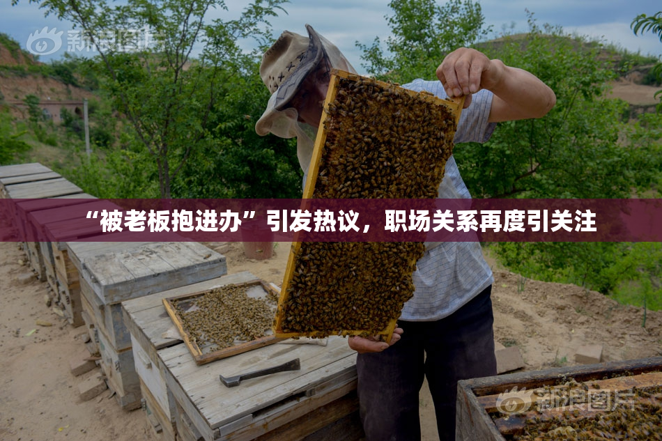“被老板抱进办”引发热议，职场关系再度引关注