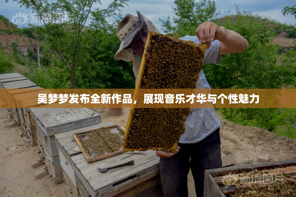 吴梦梦发布全新作品，展现音乐才华与个性魅力