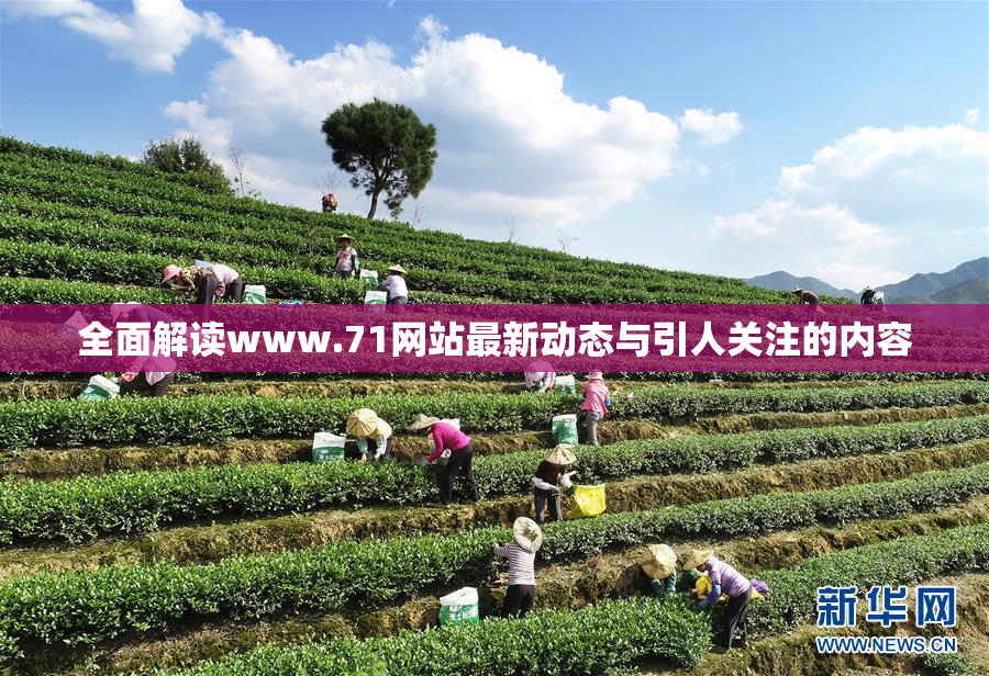 全面解读www.71网站最新动态与引人关注的内容
