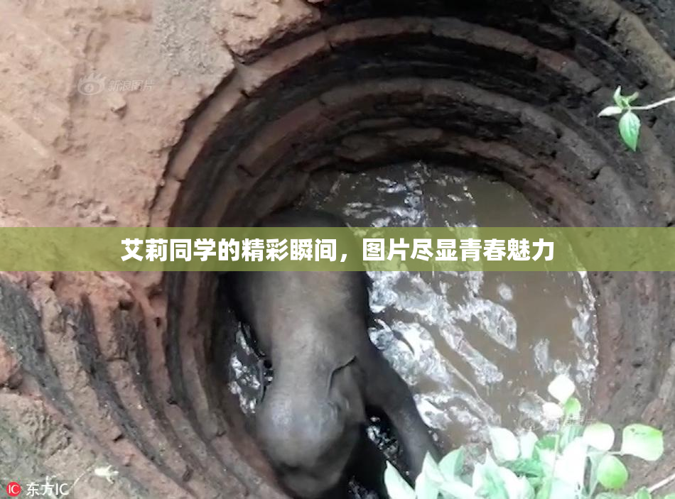 艾莉同学的精彩瞬间，图片尽显青春魅力