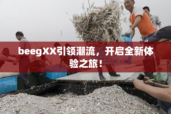 beegXX引领潮流，开启全新体验之旅！