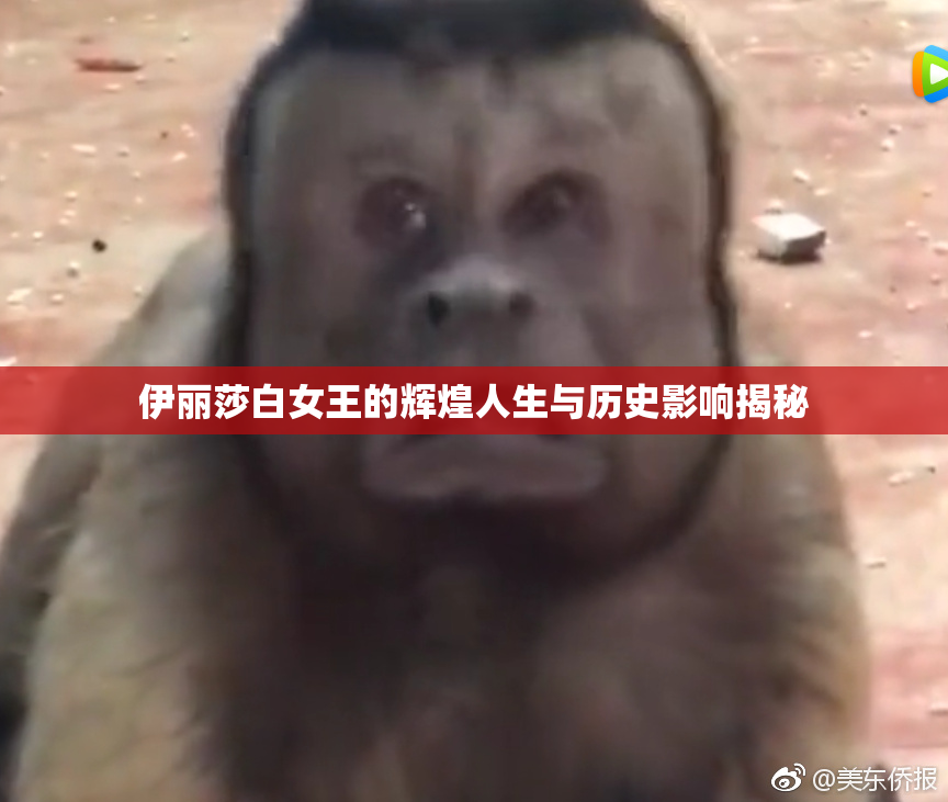 伊丽莎白女王的辉煌人生与历史影响揭秘