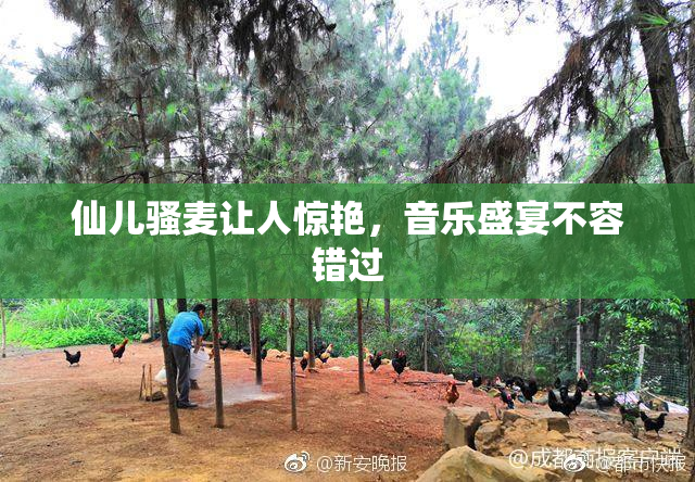 仙儿骚麦让人惊艳，音乐盛宴不容错过