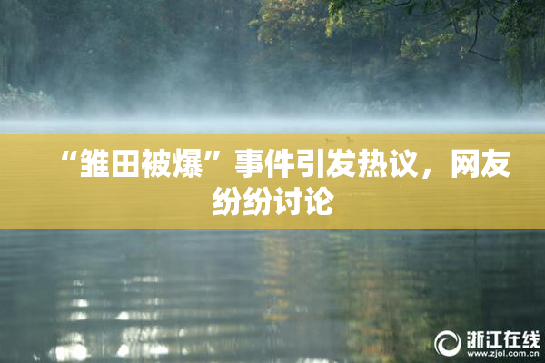 “雏田被爆”事件引发热议，网友纷纷讨论