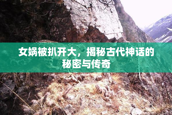 女娲被扒开大，揭秘古代神话的秘密与传奇