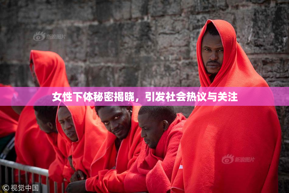 女性下体秘密揭晓，引发社会热议与关注