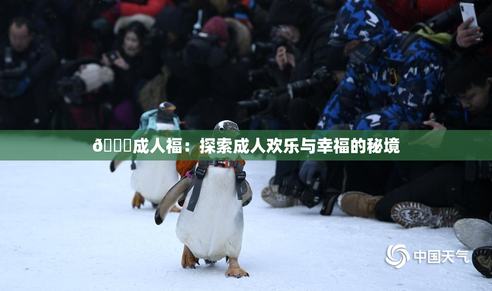 🔞成人福：探索成人欢乐与幸福的秘境