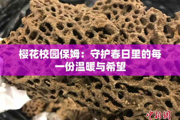樱花校园保姆：守护春日里的每一份温暖与希望