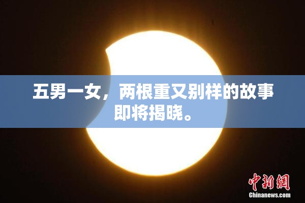 五男一女，两根重又别样的故事即将揭晓。