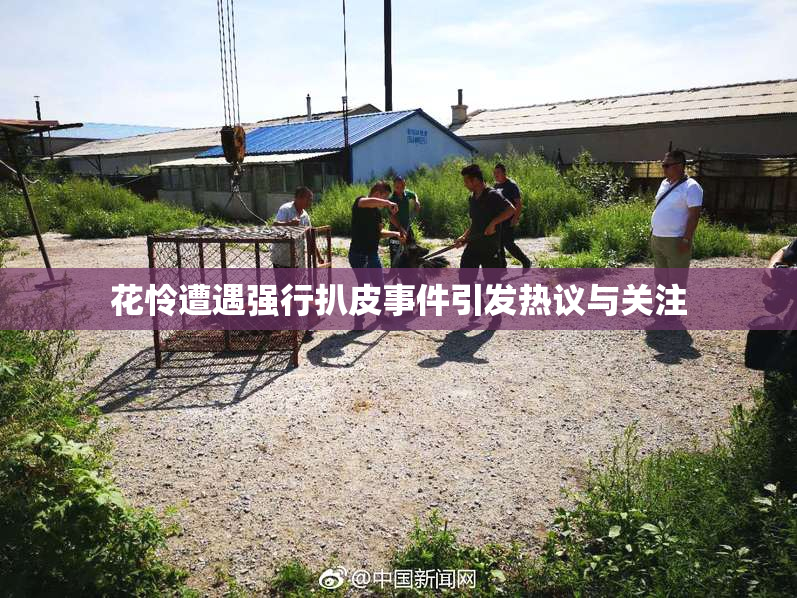 花怜遭遇强行扒皮事件引发热议与关注