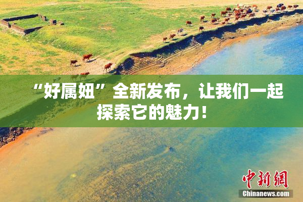 “好属妞”全新发布，让我们一起探索它的魅力！