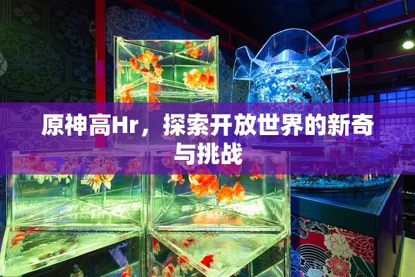 原神高Hr，探索开放世界的新奇与挑战