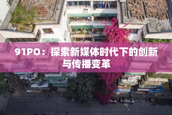 91PO：探索新媒体时代下的创新与传播变革