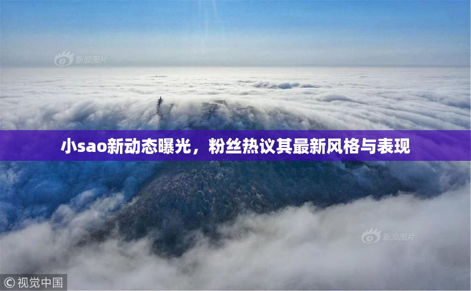 小sao新动态曝光，粉丝热议其最新风格与表现