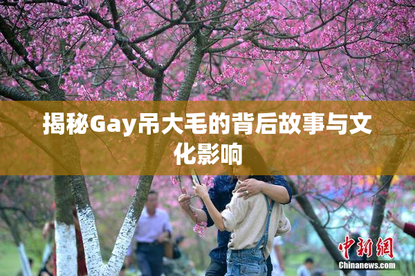 揭秘Gay吊大毛的背后故事与文化影响