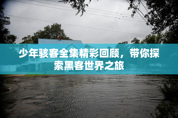 少年骇客全集精彩回顾，带你探索黑客世界之旅