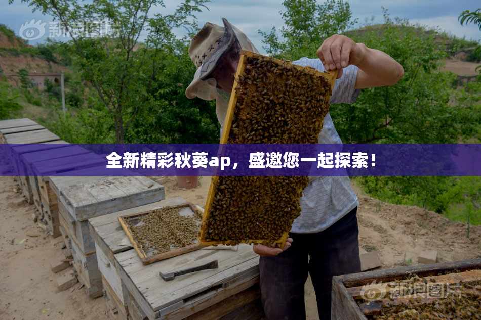 全新精彩秋葵ap，盛邀您一起探索！
