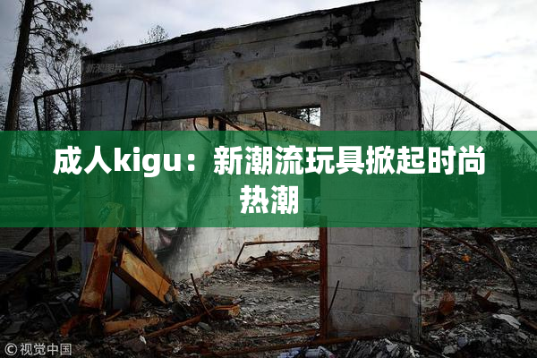 成人kigu：新潮流玩具掀起时尚热潮