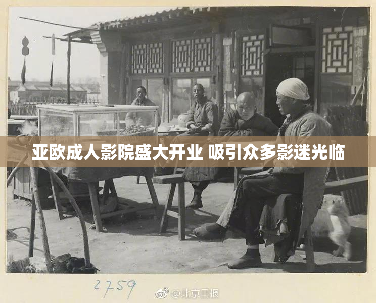 亚欧成人影院盛大开业 吸引众多影迷光临