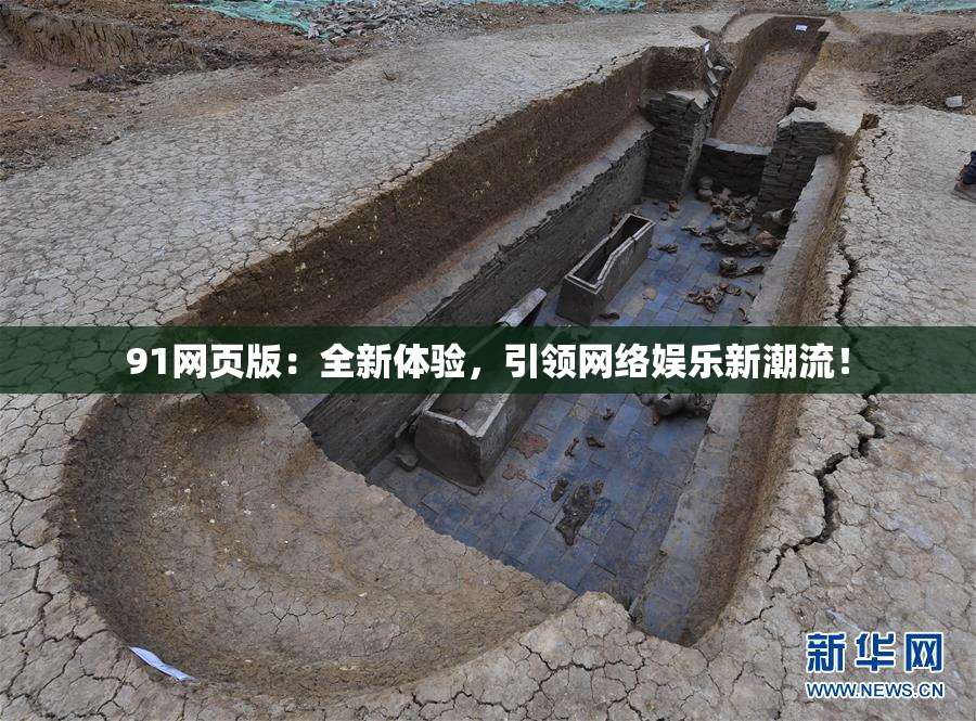 91网页版：全新体验，引领网络娱乐新潮流！