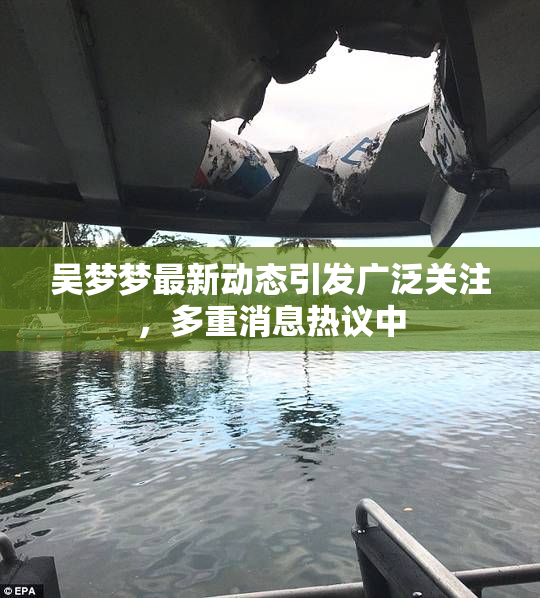 吴梦梦最新动态引发广泛关注，多重消息热议中