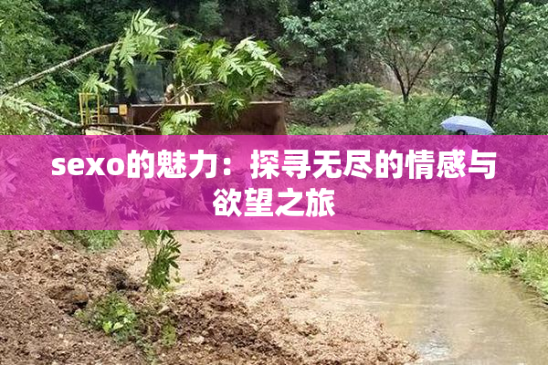 sexo的魅力：探寻无尽的情感与欲望之旅