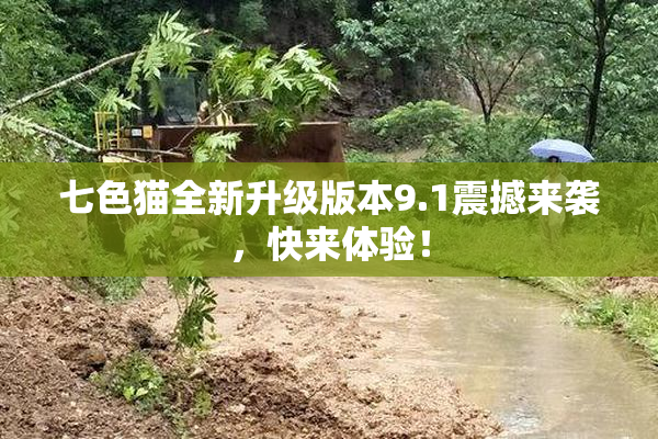 七色猫全新升级版本9.1震撼来袭，快来体验！