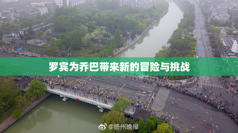 罗宾为乔巴带来新的冒险与挑战