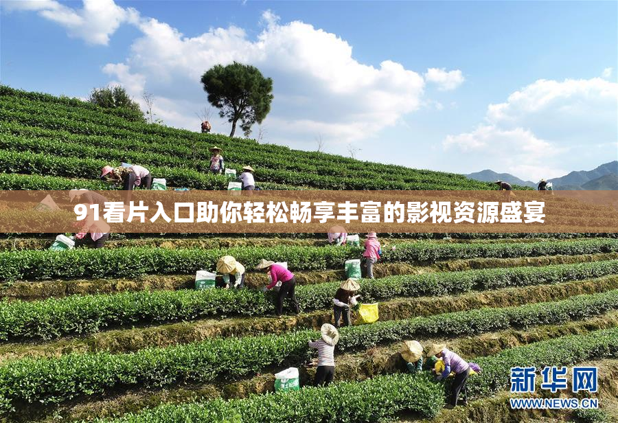 91看片入口助你轻松畅享丰富的影视资源盛宴