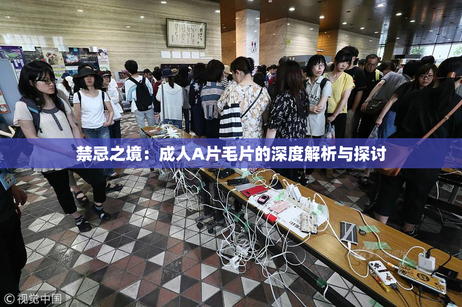 禁忌之境：成人A片毛片的深度解析与探讨