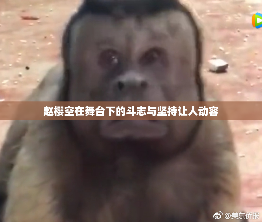 赵樱空在舞台下的斗志与坚持让人动容
